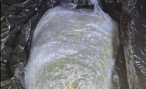 Уапсен гостиварец со еден килограм марихуана во близина на Ќафасан