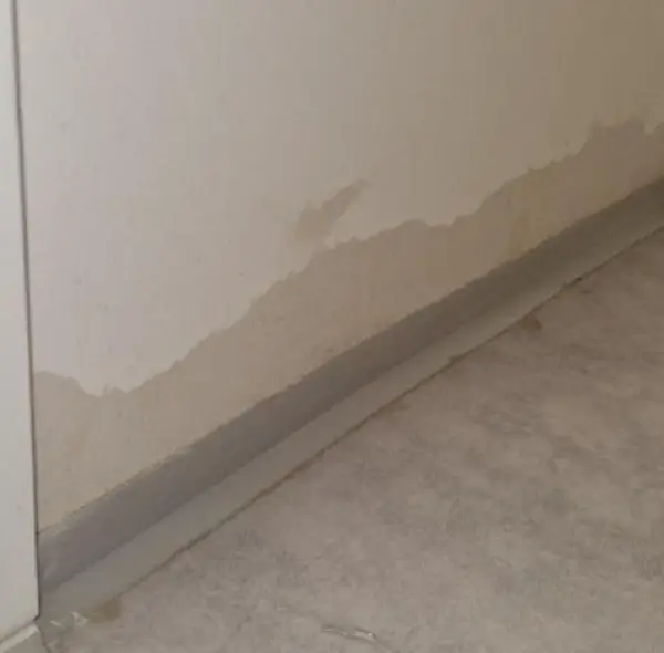 Неполн месец по вселувањето вода протекува низ ѕидовите на реновираниот СД „Стив Наумов“