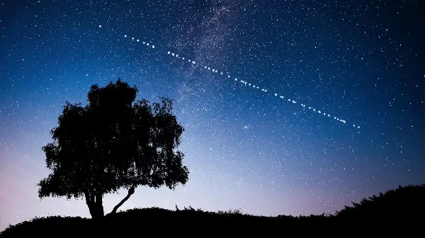 УКРАИНА КОНТРА МАСК: „Не ги прекршивме условите за користење на Starlink“