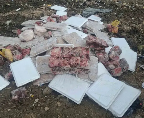 Уништени 470 кг ќебапи, плескавици и внатрешни органи пронајдени во нерегистрирана комора