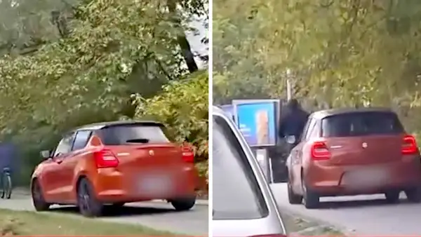 ВИДЕО| Казнет возачот кој возеше автомобил по велосипедска патека во Бутел