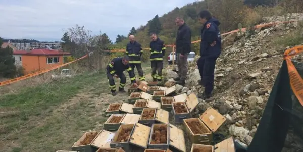 Над 1.700 бомби и мини од Првата светска војна отстранети кај Тумбе Кафе