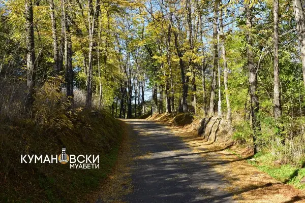 Викенд прогноза за Куманово: Со какво време ќе заврши октомври?