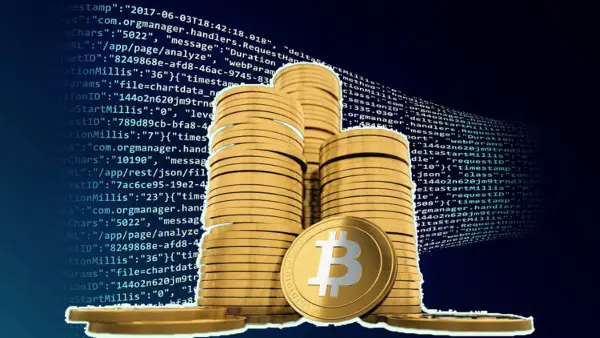 Битолчанка и Естонец измамиле стотици граѓани со лажна инвестициска платформа