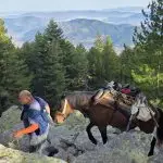 ОБНОВА НА ВИДИКОВЕЦ И НОВИ СОДРЖИНИ НА ЈОРГОВ КАМЕН И ЦРВЕНИ СТЕНИ