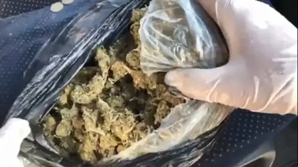 Тринаесет лица приведени во пет градови, пронајдени марихуана, дрога во прав и таблети