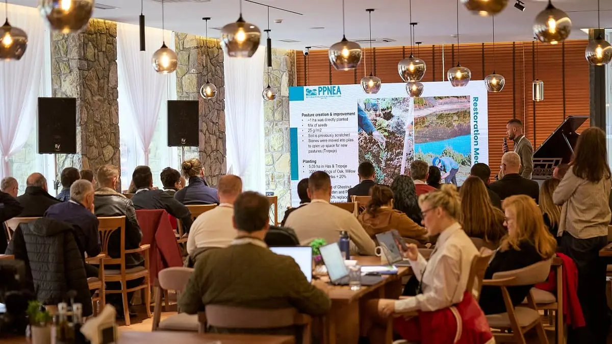 Иницијатива за северни шуми – Приказна за прекуграничен успех во обновување на шумите