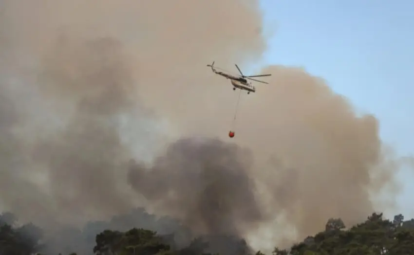 Неконтролиран шумски пожар зафати над 1.000 хектари во Нов Зеланд