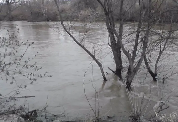 Зголемено нивото на реката Вардар кај Јегуновце и Демир Капија