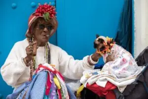 Новото зрело доба