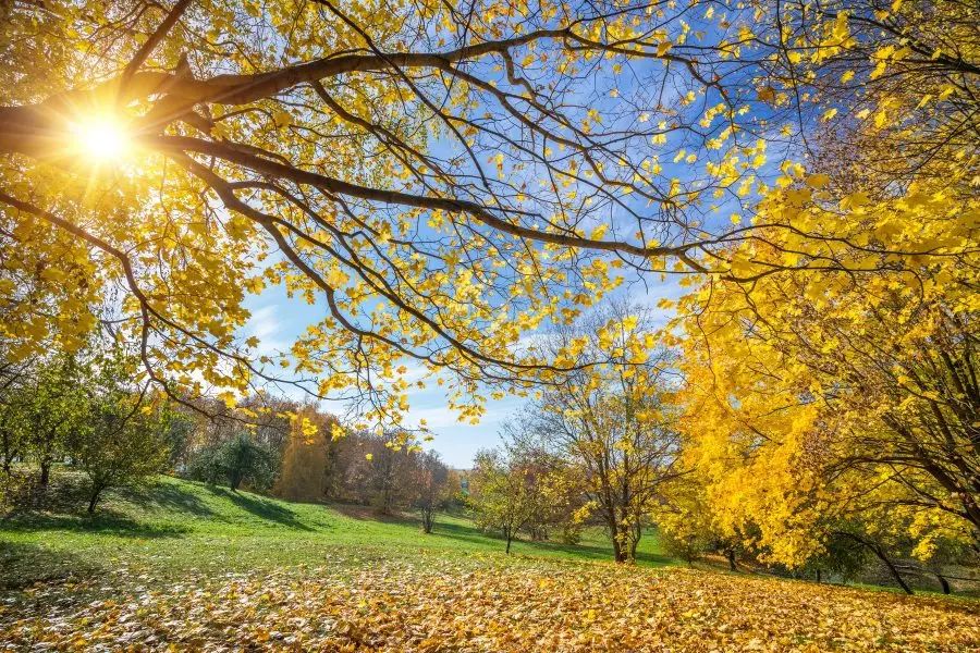 Сончево со мала до умерена облачност, температурата до 20 степени