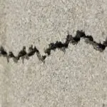 Земјотрес со интензитет од три степени според Европската макросеизмичка скала почувствуван во североисточниот дел од земјава