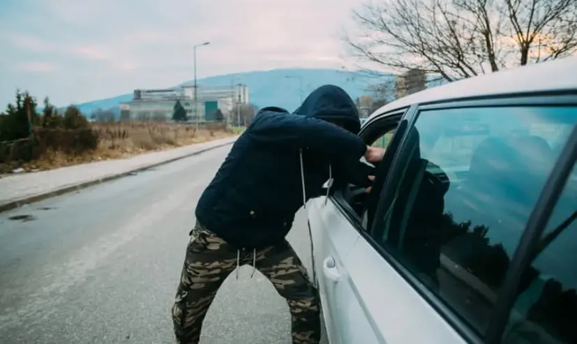 Возач од Германија остана и без автомобил и без сопруга во бизарен грабеж 