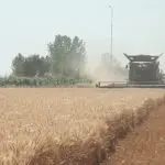 ДЗС: РАСТ НА ТРОШОЦИТЕ ВО ЗЕМЈОДЕЛИЕТО