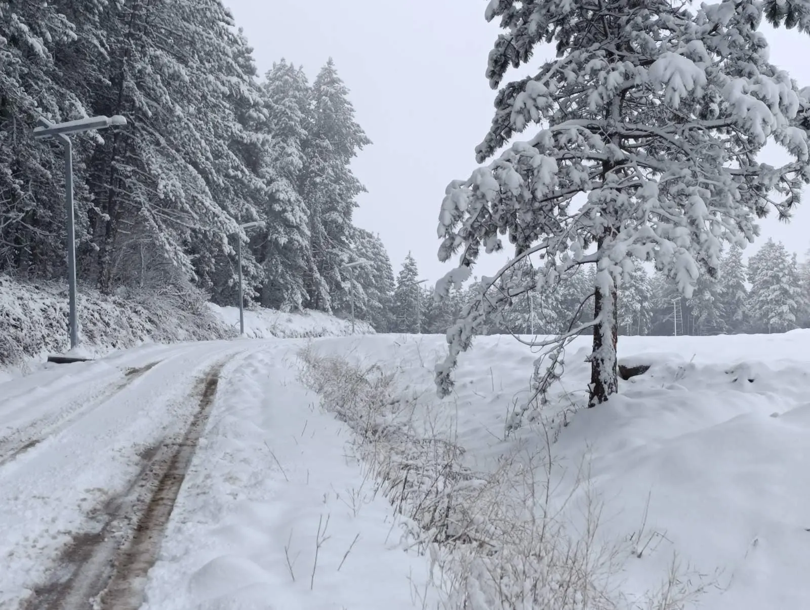 Во снежна бура во Чиле загинаа пет туристи