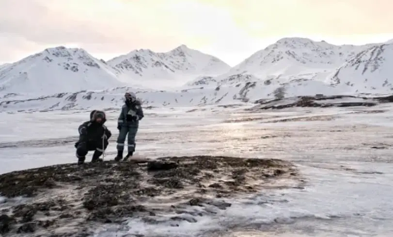 Научниците зачудени од откритие на Арктикот, старо 770.000 години: Ова не го очекувавме 