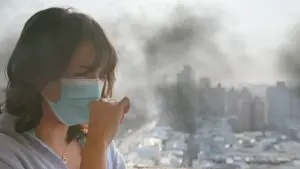 Во сезоната на смог – храната со која ја намалуваме штетата од валканиот воздух