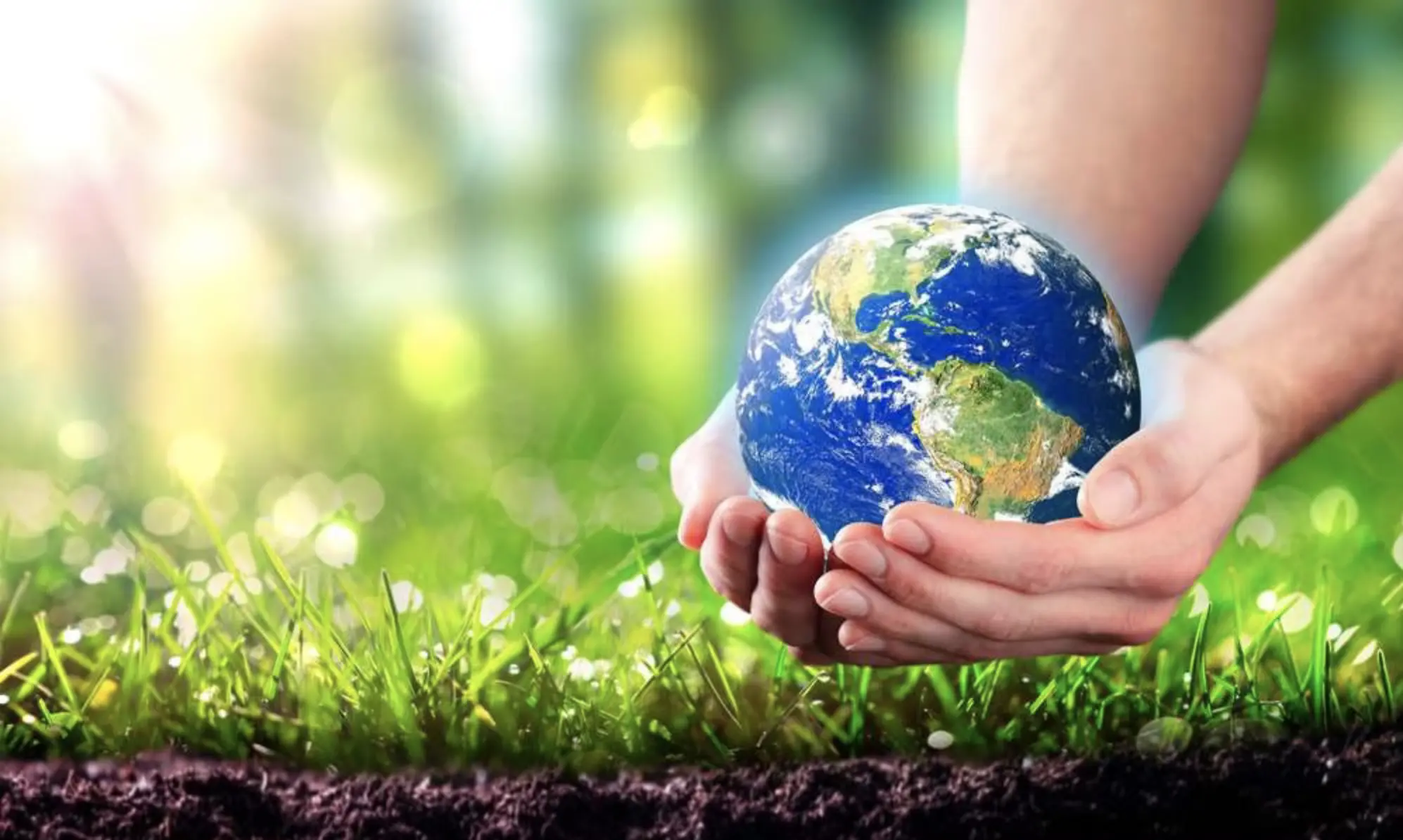 „Еко Едукација“ – нов веб портал за правилно управување со отпад