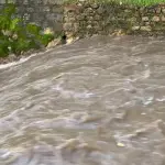 ДРАГОРОТ СЕ ПОЛНИ, ШЕМНИЦА СЕ ИЗЛЕА