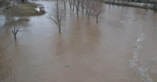 АХВ со апел до населението да води сметка за безбеднсота на храната во регионите каде има поплавување