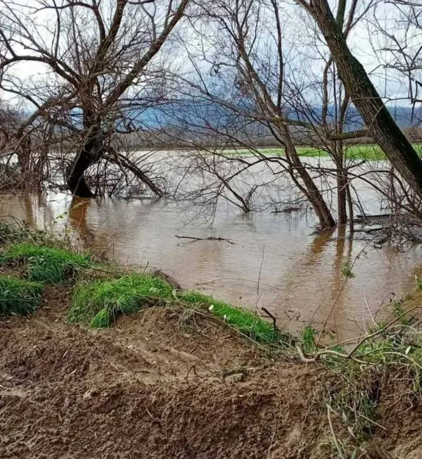 Храната од поплавени фрижидери да не се користи, водата да се провери пред пиење, советува АХВ
