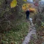 РЕКИТЕ СЕ ПОВЛЕКОА, НО ОСТАВИЈА НАНОСИ ТИЊА И КАЛ