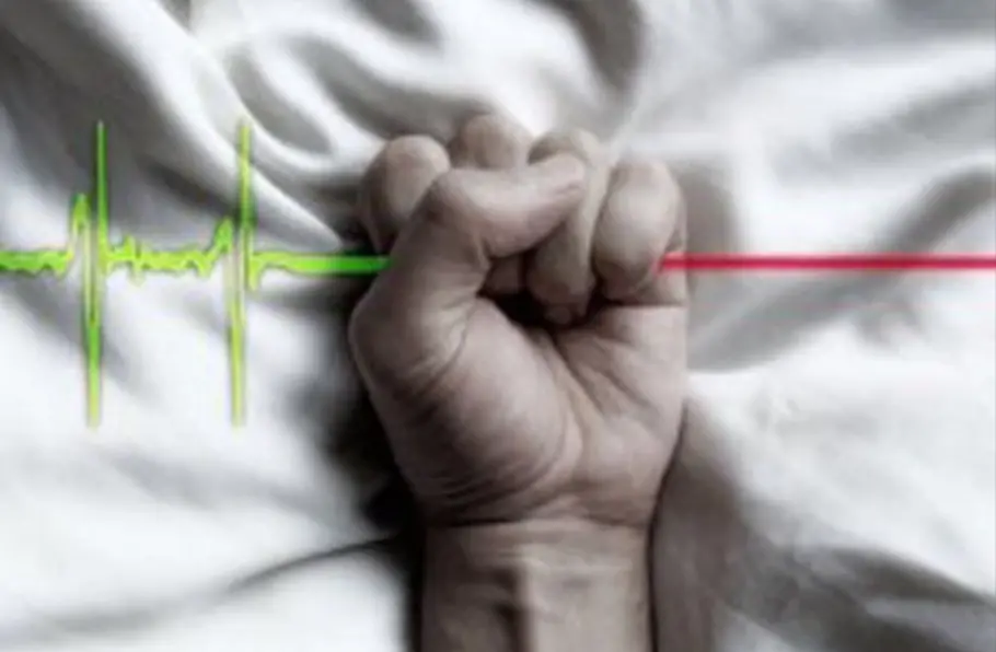 РЕФЕРЕНДУМ ВО СЛОВЕНИЈА: Граѓаните одлучуваат дали да остане Законот за помош при доброволно завршување на животот