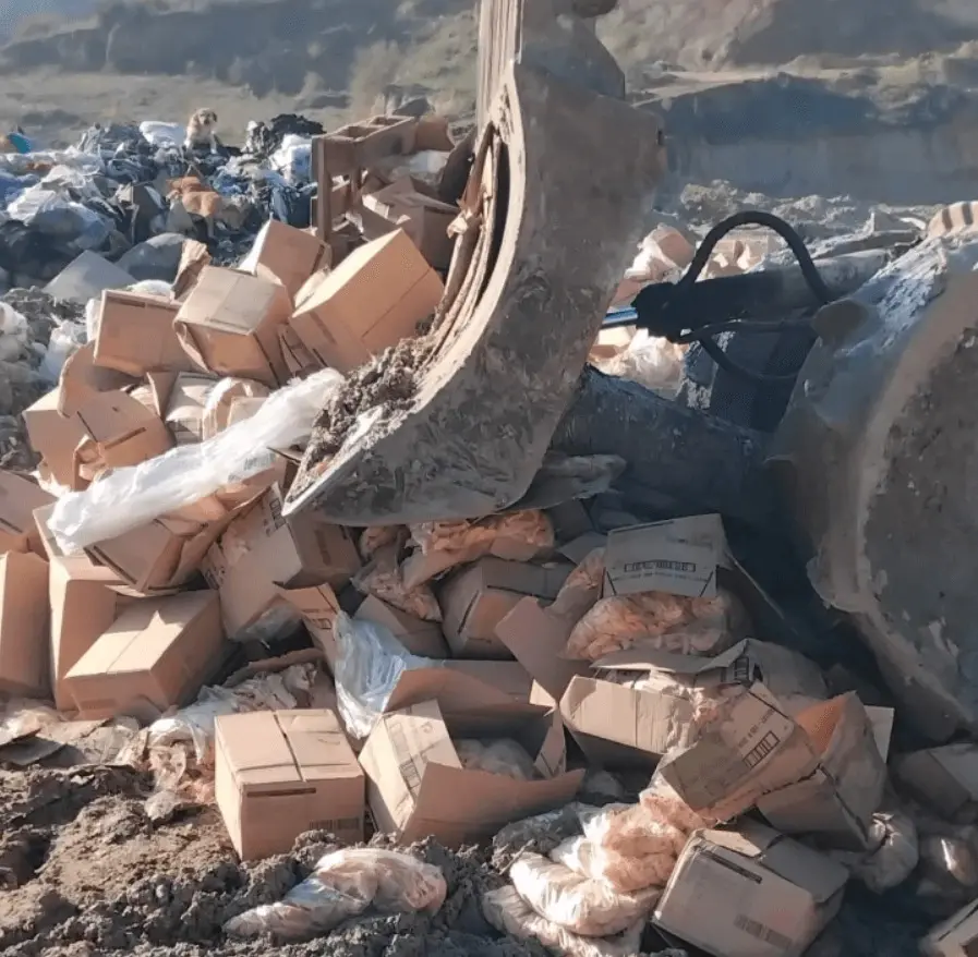 АХВ спречи увоз на над 20 тони небезбеден помфрит