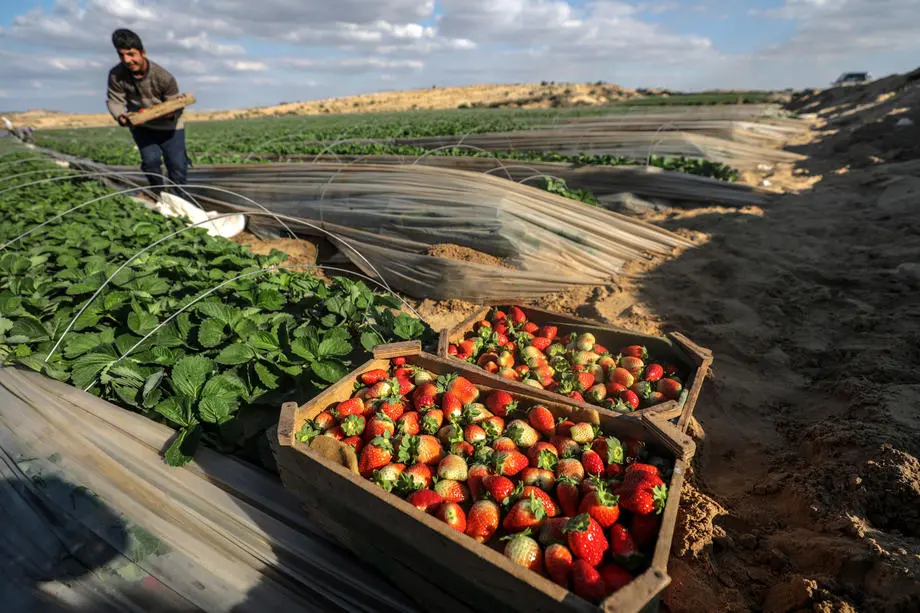 Владата категорично ги отфрла тврдењата на опозицијата за наводна нетранспарентност околу ИПАРД