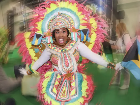 Кој саем го посетија 50.000 луѓе за три дена?