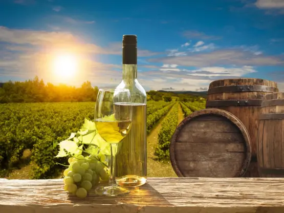 Вински маратон од 2.817 километри низ балканските лозја