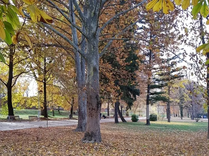 Во Берово утрово најстудено -4 степени