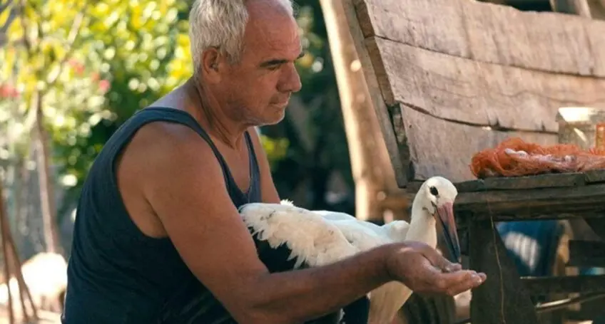 Почнува кампањата за Оскар на „Приказната за Силјан“