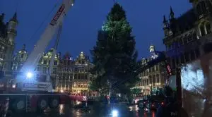 (ВИДЕО) Брисел ја постави новогодишната елка