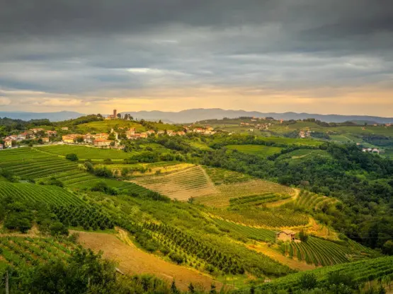 Ве водиме во словенечката Тоскана: Седум предлози за љубителите на естетиката и виното