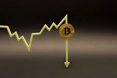 Голем пад на биткоинот: Аналитичар тврди дека вредноста може да падне на само 10 илјади долари