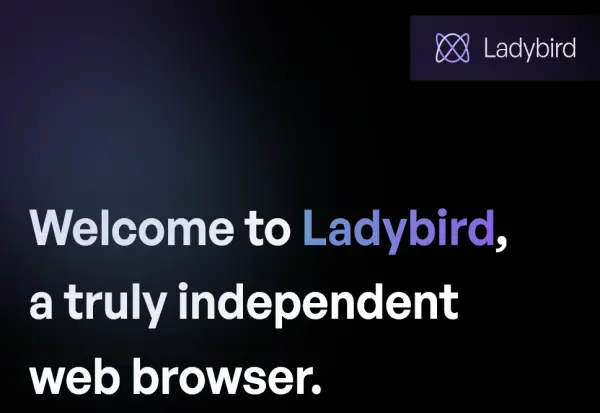 Што претставува проектот „Лејдибрд“ и зошто е важен за иднината на интернетот?