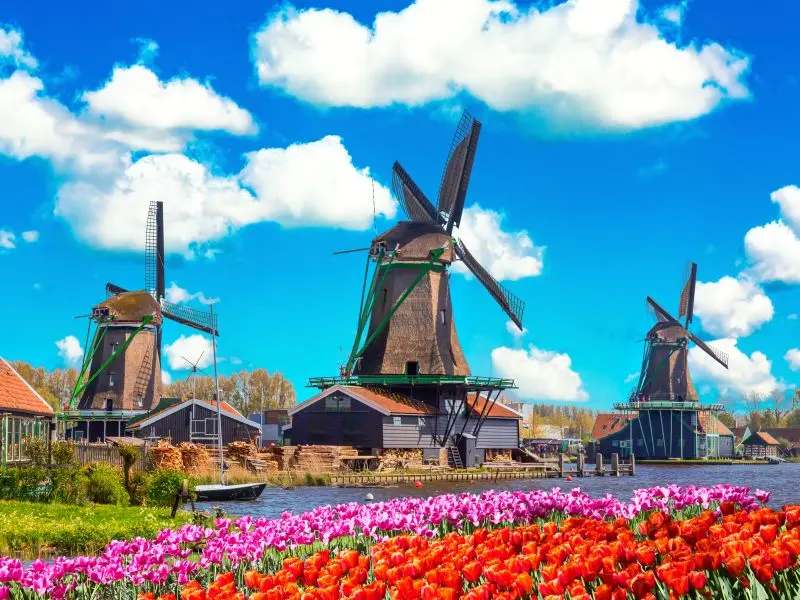 Европски народ поинаков од другите - секој си го плаќа своето, а искреноста се граничи со дрскост