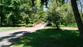 Драма во Градски парк: Странец со американски пасош нападнал полицаец