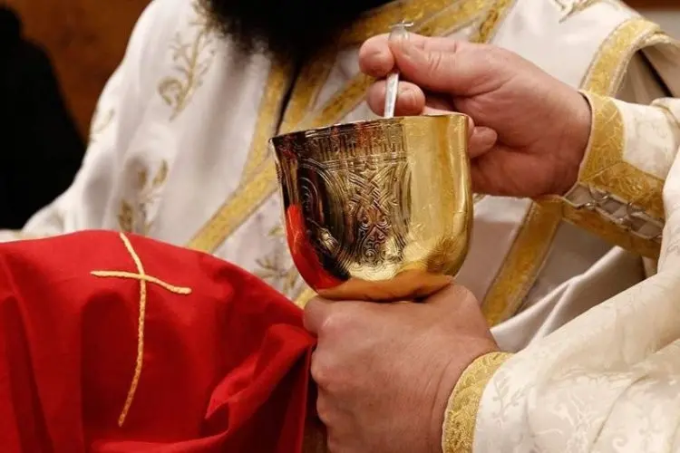 „Ако избегнуваме месо, јајца и млеко, ние сме како овци и кози на паша“: Отец Предраг Поповиќ ја објасни суштината на постот