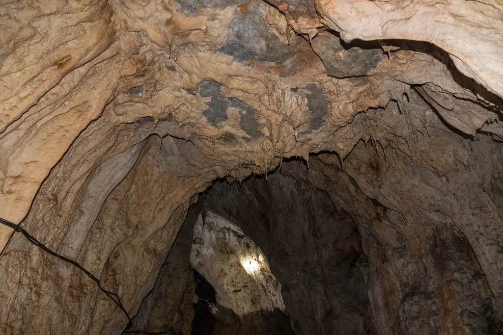 Во пештерата Самотска Дупка на Галичица утврдена хибернациска колонија лилјаци од видот мал потковичар