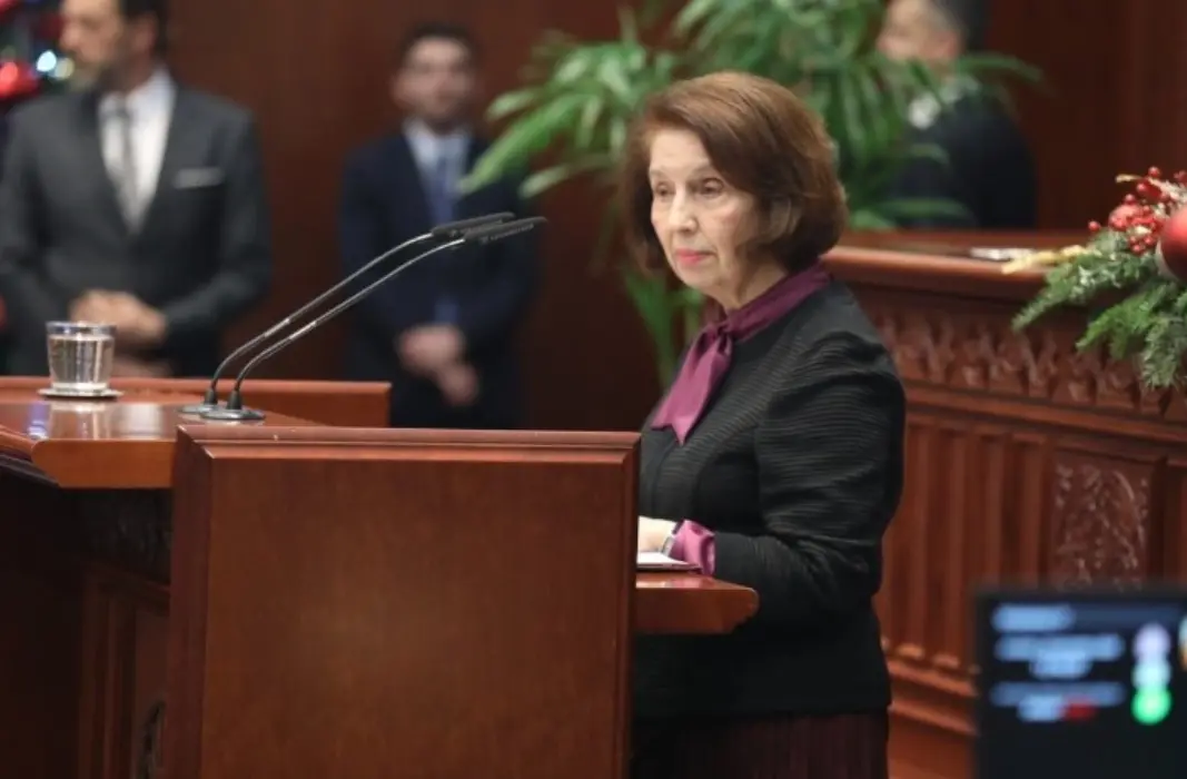 Сиљановска - Давкова: Потребен е национален консензус и гаранции за евроинтеграциите