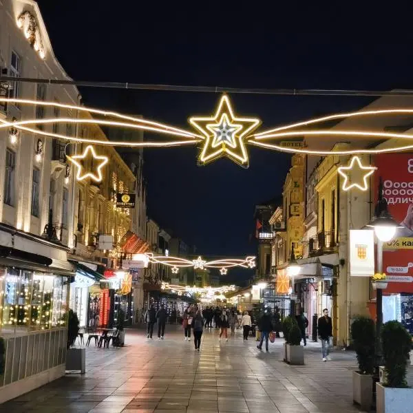 ТУРИСТИТЕ И ГРАЃАНИТЕ И ВО НЕДЕЛА И ВО ПРАЗНИК ЌЕ МОЖАТ ДА КУПУВААТ НА ШИРОК СОКАК