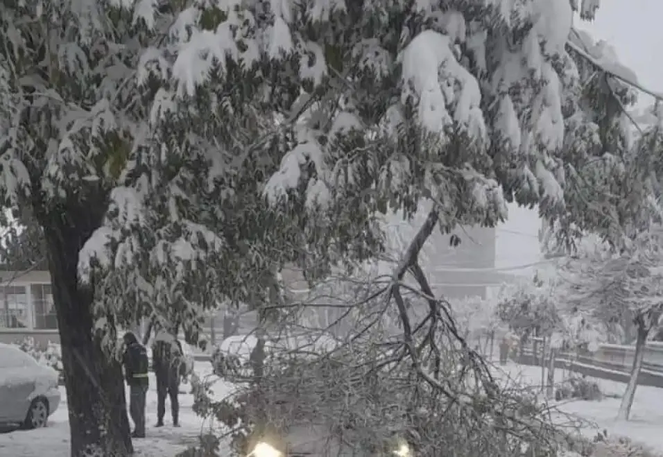 Снег ќе има и по Нова година: Еве ги прогнозите