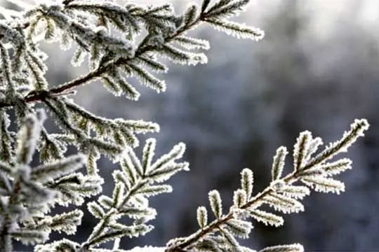 Зимата ќе биде без екстремни периоди, студени бранови кон крајот на декември до средината на јануари и крајот на февруари