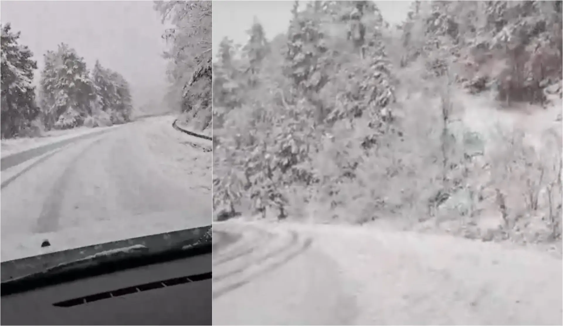 Меѓу дрвја и снег: Вака изгледа снежна бајка на истокот ВИДЕО
