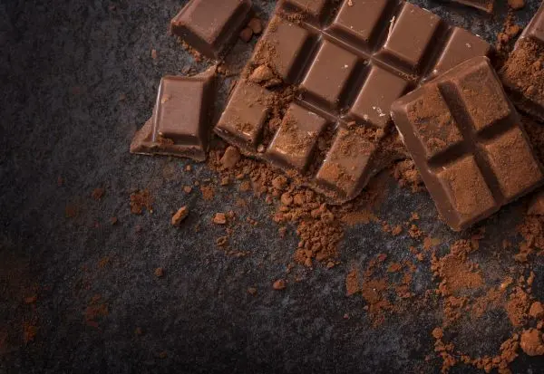 Чоколадото би можело да исчезне до 2050 година