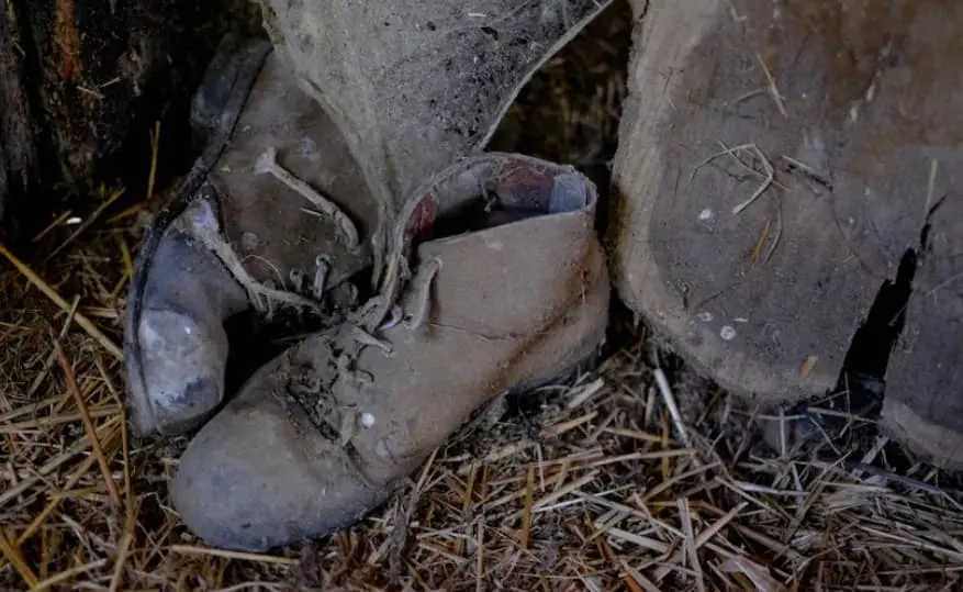 Шокантно откритие на морски брег: Стотици стари чевли се појавија во песокот, многу со детски ѓонови (ФОТО)