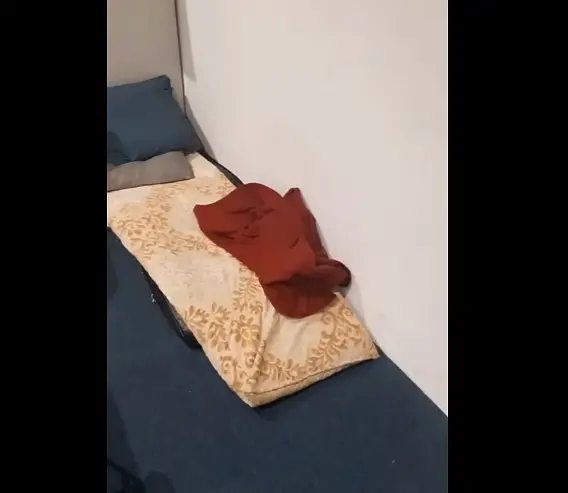 ВИДЕО: Отпуштените службеници од ДУИ си послале кревет во канцеларија во министерството