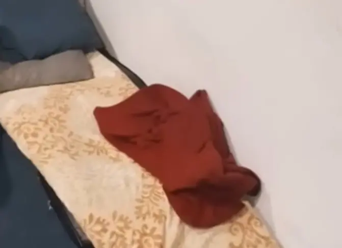 (ВИДЕО) Отпуштените службеници од ДУИ имаа и кревети во канцелариите, вели Стоилковиќ